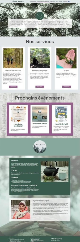 Saisie de la page d'accueil du site